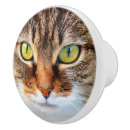 Suche nach katzenknopf Haustier
