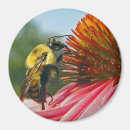 Suche nach hummel magnete Herz