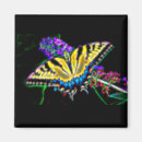 Suche nach plektrum magnete Blume