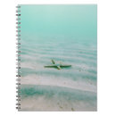 Suche nach unterwasser kleine notizbücher Sommer