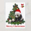 Suche nach pandas postkarten China