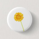Suche nach gerbera buttons Gelb