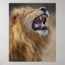 Suche nach botswana poster Afrika