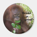 Suche nach veggie magnete Vegetarier