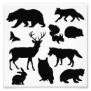 Suche nach wilde igel poster Tiere
