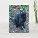 Suche nach ärgern postkarten Geburtstag