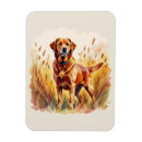 Suche nach labrador retriever hund magnete Hunde
