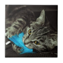 Suche nach spielzeug fliesen Katze