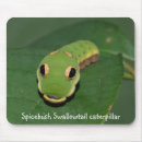 Suche nach raupe mousepads Schmetterling