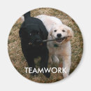 Suche nach goldener welpe magnete Labrador