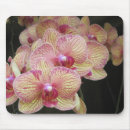 Suche nach orchideen blumen mousepads Phalaenopsis