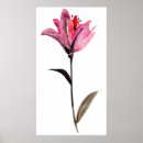 Suche nach decke poster Aquarell