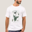 Suche nach papaver Pflanze