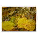 Suche nach birke kleine grußkarten Herbst