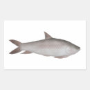 Suche nach carp aufkleber Fisch