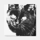 Suche nach kitten magnete Haustier