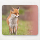 Suche nach vixen Bunt