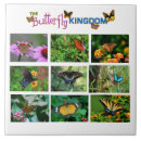 Suche nach die bunte garten fliesen Natur