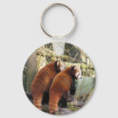 Suche nach roter panda schlüsselanhänger Fotografie