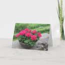 Suche nach pelargonie karten Rot