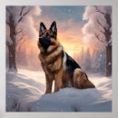 Suche nach polizeihund poster Deutscher hirte