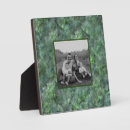 Suche nach nord fotoplatten Baum