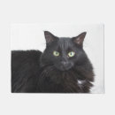 Suche nach schwarze katze türmatten Katzengeschenk