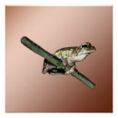 Suche nach baumfrosch poster Amphibisch