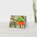 Suche nach ungewöhnlich geburtstag karten Blume