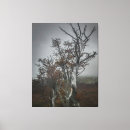 Suche nach wildnis leinwandbilder Landschaft