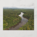 Suche nach guyana postkarten Fluss