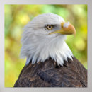 Suche nach nationaler vogel poster Tiere