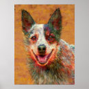 Suche nach kelpie poster Welpe