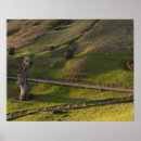 Suche nach rapa nui poster Chile