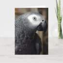 Suche nach african karten Grey