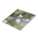 Suche nach vogel foto fliesen Natur