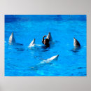 Suche nach schwimmen poster Tiere