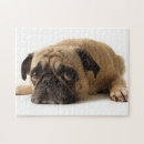 Suche nach traurig puzzle Hund