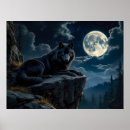 Suche nach black wolf poster Natur