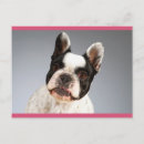 Suche nach frenchie karten Hund