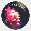 Suche nach sonnenlicht aufkleber Blume