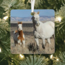Suche nach henge ornamente Pferd