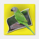 Suche nach grüner kopf magnete Vogel