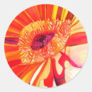 Suche nach aquarellmalerei aufkleber Blume