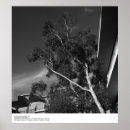 Suche nach ansel adams poster Ucsd