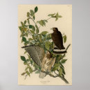 Suche nach großzügig poster Darstellung