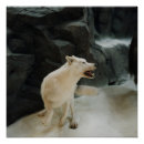 Suche nach wölfe poster Inspirierend