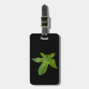 Suche nach frosch gepäckanhänger Amphibisch