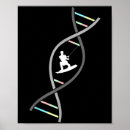 Suche nach freestyle ski poster Skiausrüstung