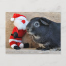 Suche nach cavy postkarten Weihnachten